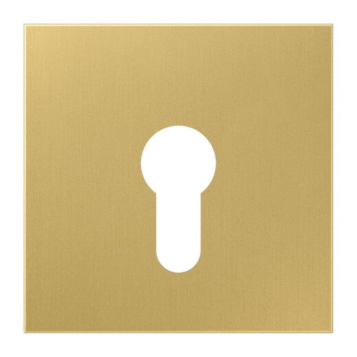 Jung Abdeckung für Schlüsselschalter ohne Demontageschutz, Messing, Serie LS, Messing classic ME2925C