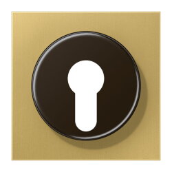 Jung Abdeckung für Schlüsselschalter mit...