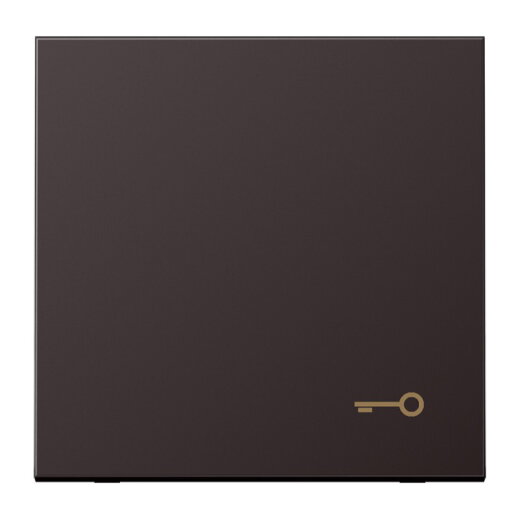 Jung Wippe, Symbol Tür, Aluminium lackiert, Serie LS, dark (lackiertes Aluminium) AL2990TD