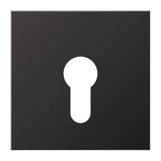 Jung Abdeckung für Schlüsselschalter ohne Demontageschutz, Aluminium lackiert, Serie LS, dark (lackiertes Aluminium) AL2925D