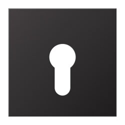 Jung Abdeckung für Schlüsselschalter ohne...