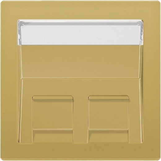 Jung Abdeckung für Montageadapter 30° 2fach, mit Schriftfeld, Thermoplast lackiert, Serie LS, Messing classic ME569-30BFPLC-L