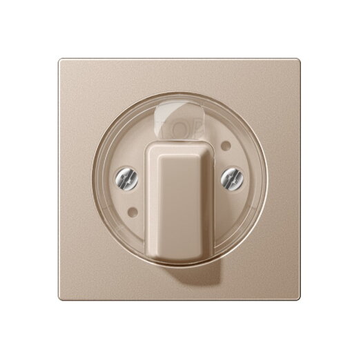 Jung Abdeckung für Drehschalter, Serie A, champagner A1541CH