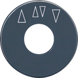 Jung Skalenscheibe, mit Pfeilsymbolen, anthrazit SKS1234.10