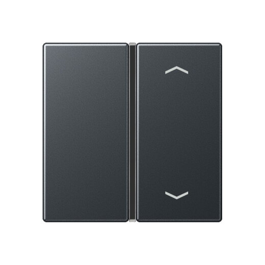 Jung Taste 1fach, mit Pfeilsymbolen, F40, Serie A, anthrazit matt A401TSAPANM