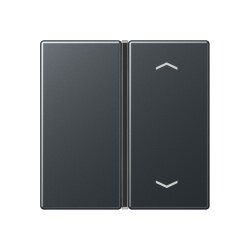 Jung Taste 1fach, mit Pfeilsymbolen, F40, Serie A,...