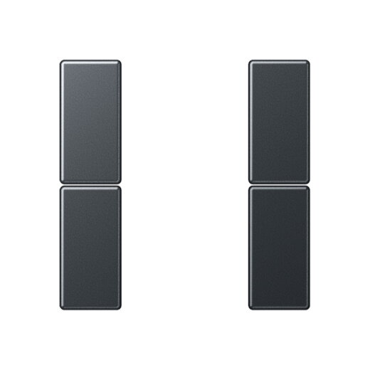 Jung Tastensatz 2fach, F50, Serie A, anthrazit matt A502TSAANM