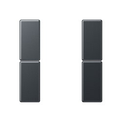 Jung Tastensatz 2fach, F50, Serie A, anthrazit matt...