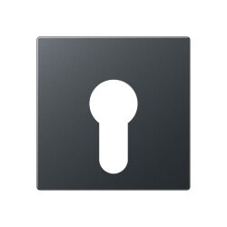 Jung Abdeckung für Schlüsselschalter ohne...