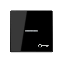 Jung Wippe mit Lichtleiter, Symbol Tür, Thermoplast,...