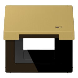 Jung Klappdeckel (mit Rückstellfeder) inklusive...