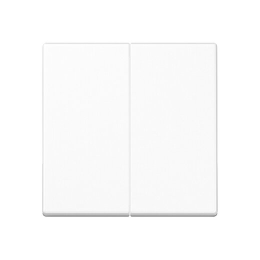 Jung LB-Management Taster 2fach, Duroplast, Serie A, alpinweiß A1702WW