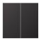 Jung LB-Management Taster 2fach, Aluminium lackiert, Serie LS, dark (lackiertes Aluminium) AL1702D