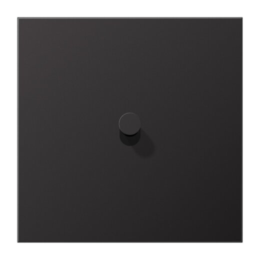 Jung Abdeckung mit Kipphebel, Kegel, 1fach, 1 Kipphebel, Serie LS 1912, dark (lackiertes Aluminium) AL12-0DK01