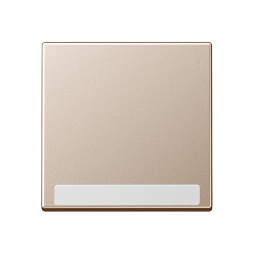 Jung Wippe 1fach, mit Schriftfeld, Thermoplast lackiert, Serie A, champagner A590BFNACH