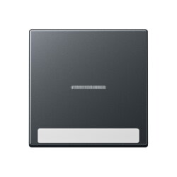 Jung Wippe 1fach mit Lichtleiter, mit Schriftfeld,...