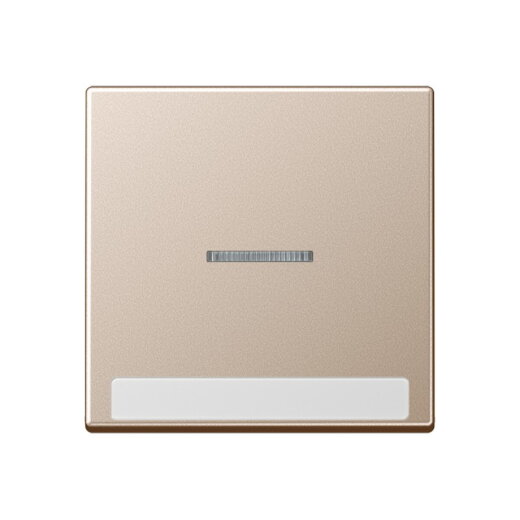 Jung Wippe 1fach mit Lichtleiter, mit Schriftfeld, Thermoplast lackiert, Serie A, champagner A590BFNAKO5CH