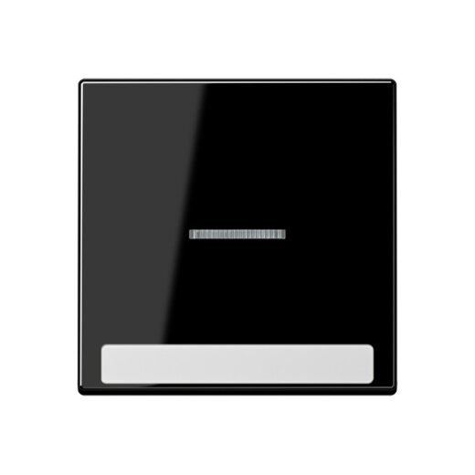 Jung Wippe 1fach mit Lichtleiter, mit Schriftfeld, Thermoplast, Serie A, schwarz A590BFNAKO5SW
