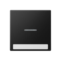 Jung Wippe 1fach mit Lichtleiter, mit Schriftfeld,...