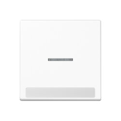 Jung Wippe 1fach mit Lichtleiter, mit Schriftfeld,...