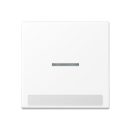 Jung Wippe 1fach mit Lichtleiter, mit Schriftfeld, Thermoplast lackiert, Serie A, schneeweiß matt A590BFNAKO5WWM