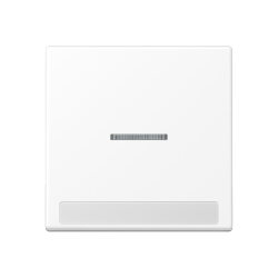 Jung Wippe 1fach mit Lichtleiter, mit Schriftfeld,...