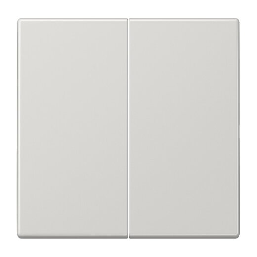 Jung Wippe für Taster 2fach, Duroplast, Serie LS, lichtgrau LS102LG