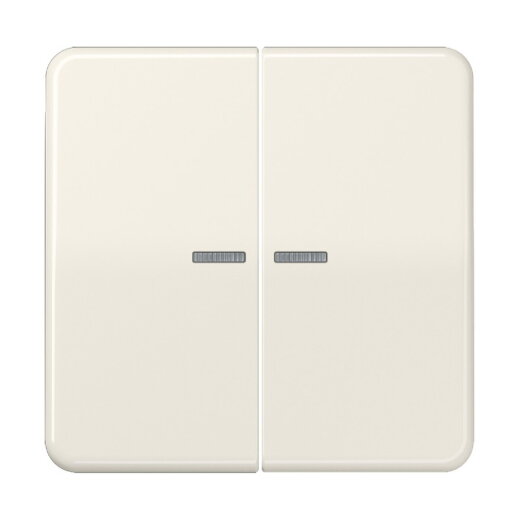 Jung Wippe mit Lichtleiter für Taster 2fach, Duroplast, Serie CD, weiß CD102KO5