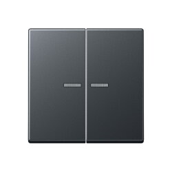 Jung Wippe mit Lichtleiter für Taster 2fach,...