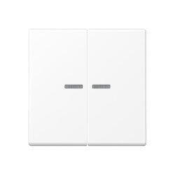 Jung Wippe mit Lichtleiter für Taster 2fach,...