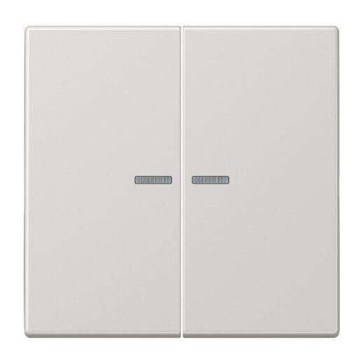 Jung Wippe mit Lichtleiter für Taster 2fach, Duroplast, Serie LS, lichtgrau LS102KO5LG