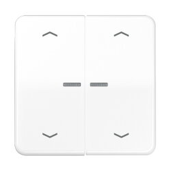 Jung Wippe mit Lichtleiter, mit Pfeilsymbolen für...