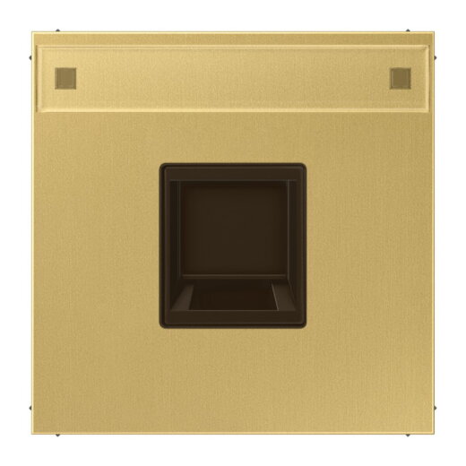 Jung Abdeckung (gerastet) für Modular-Jack-Steckbuchsen 1fach, EMT, AMP, MTRJ, mit Schriftfeld, Messing, Serie LS, Messing classic ME1969-15NAWEC