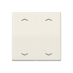 Jung Wippe, mit Pfeilsymbolen für Taster 2fach,...