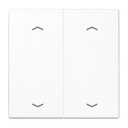 Jung Wippe, mit Pfeilsymbolen für Taster 2fach,...