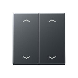 Jung Wippe, mit Pfeilsymbolen für Taster 2fach,...