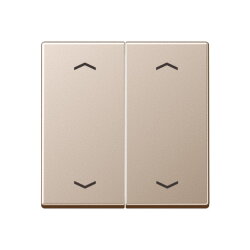 Jung Wippe, mit Pfeilsymbolen für Taster 2fach,...