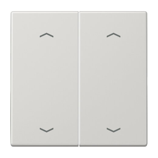 Jung Wippe, mit Pfeilsymbolen für Taster 2fach, Duroplast, Serie LS, lichtgrau LS102PLG