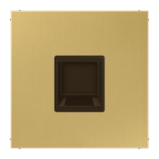 Jung Abdeckung (gerastet) für Modular-Jack-Steckbuchsen 1fach, UMA-CAT6A, RADIALL, Panduit, Assmann, Messing, Serie LS, Messing classic ME1969-1WEC