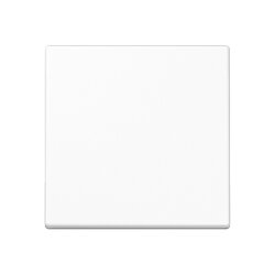 Jung Wippe für Taster 1fach, Thermoplast, Serie A,...