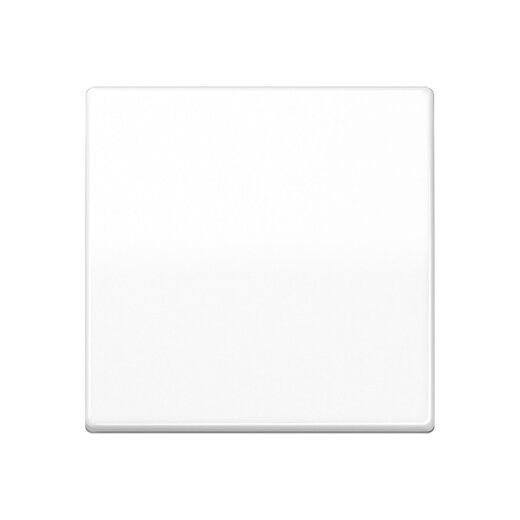 Jung Wippe für Taster 1fach, Duroplast, Serie AS, alpinweiß AS101WW