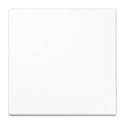 Jung Wippe für Taster 1fach, Duroplast, Serie LS,...