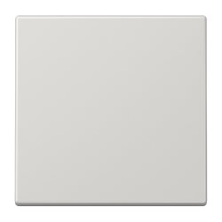 Jung Wippe für Taster 1fach, Duroplast, Serie LS,...