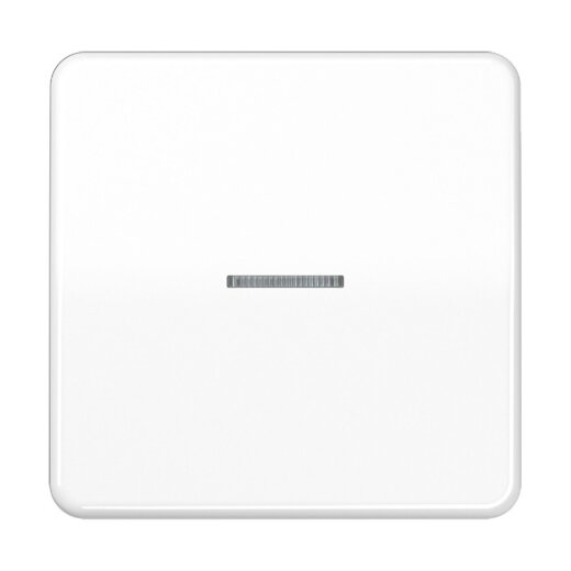 Jung Wippe mit Lichtleiter für Taster 1fach, Duroplast, Serie CD, alpinweiß CD101KO5WW
