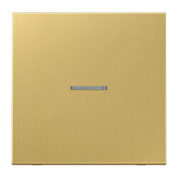 Jung Wippe mit Lichtleiter für Taster 1fach,...