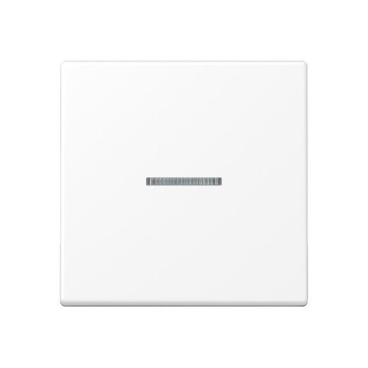 Jung Wippe mit Lichtleiter für Taster 1fach, Thermoplast lackiert, Serie A, schneeweiß matt A101KO5BFWWM