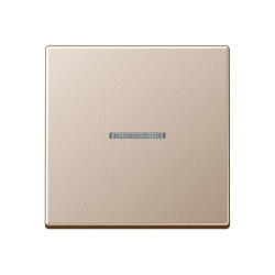 Jung Wippe mit Lichtleiter für Taster 1fach, Serie...