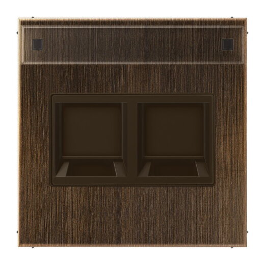 Jung Abdeckung (gerastet) für Modular-Jack-Steckbuchsen 2fach, UMA-CAT6A, RADIALL, Panduit, Assmann, mit Schriftfeld, Messing, Serie LS, Messing antik ME1969-2NAWEAT