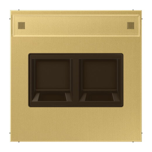 Jung Abdeckung (gerastet) für Modular-Jack-Steckbuchsen 2fach, UMA-CAT6A, RADIALL, Panduit, Assmann, mit Schriftfeld, Messing, Serie LS, Messing classic ME1969-2NAWEC