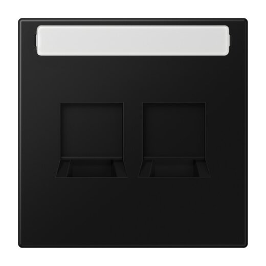 Jung Abdeckung (gerastet) für Modular-Jack-Steckbuchsen 2fach, lackiert, Serie LS, graph LS1969-2NAWESWM